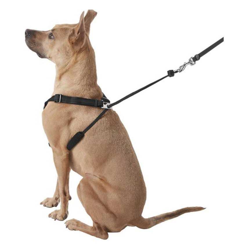 Dog Harness Z5542