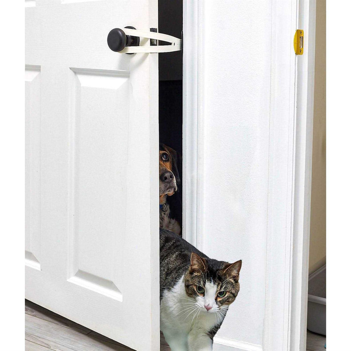 Cat Door Holder U69619