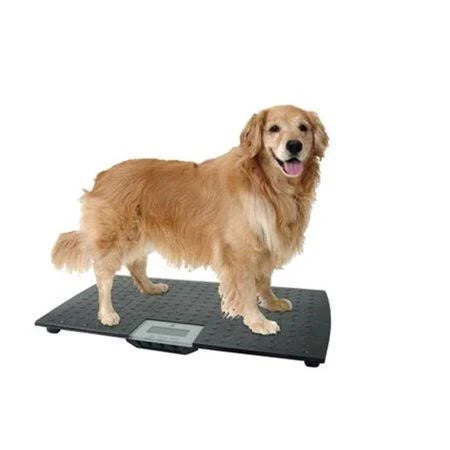 Large Digital Pet Scale - Black P8221