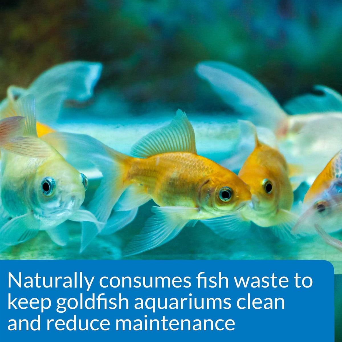 Aquarium Water Conditioner K646