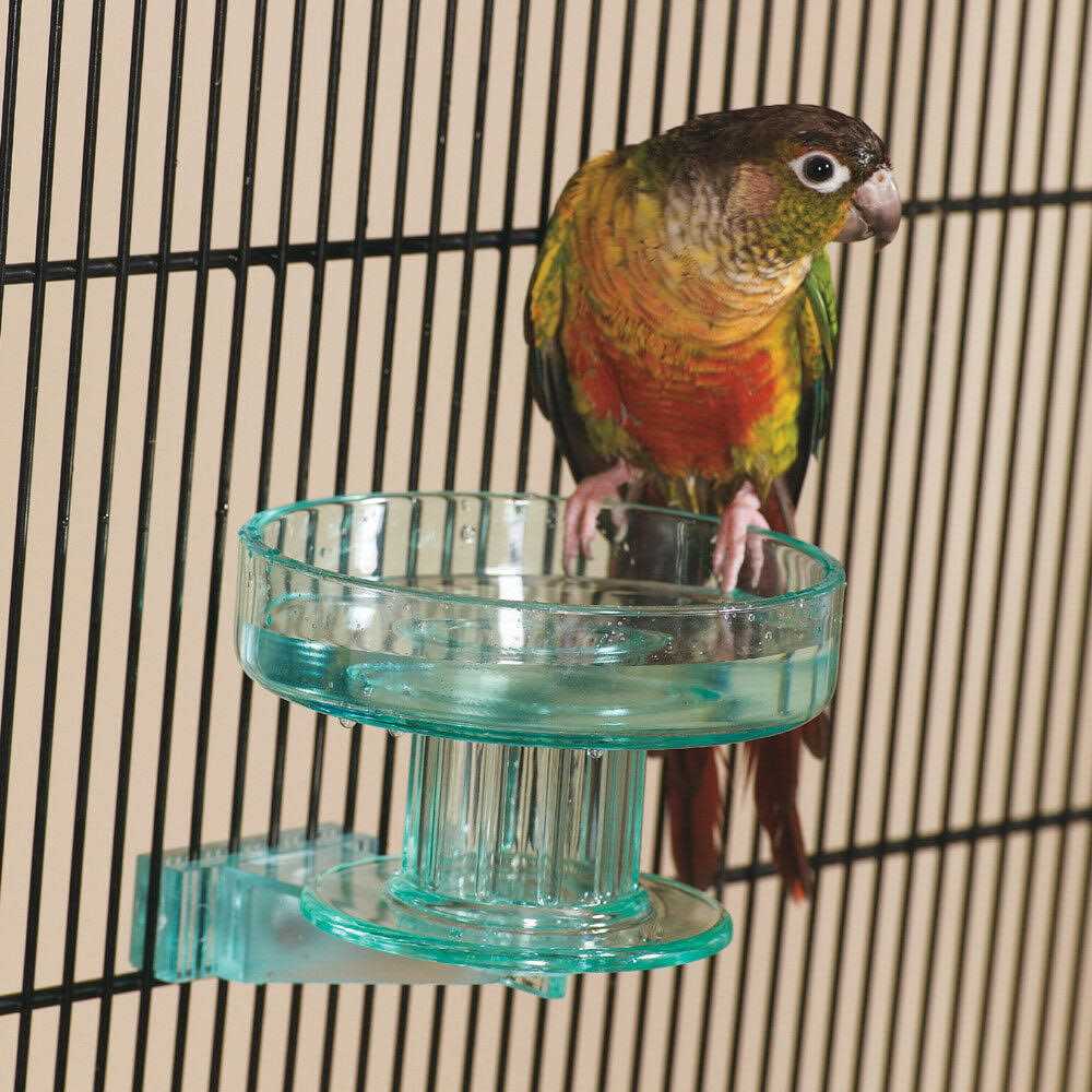 Bird Bath E796671