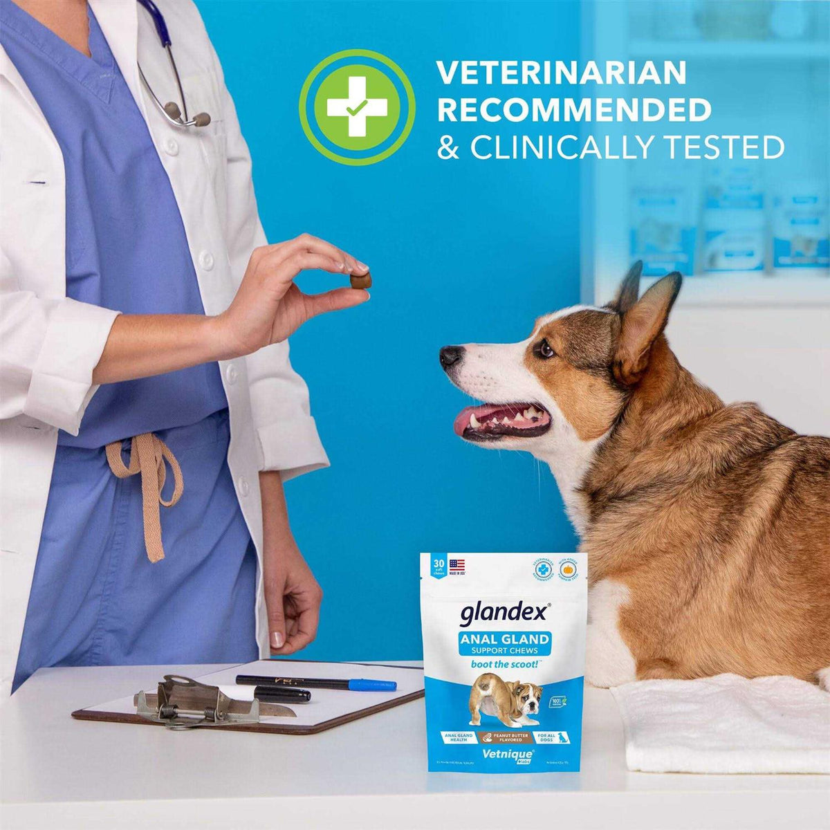 Anal Gland Soft Chews Supplement for Dogs R1692
