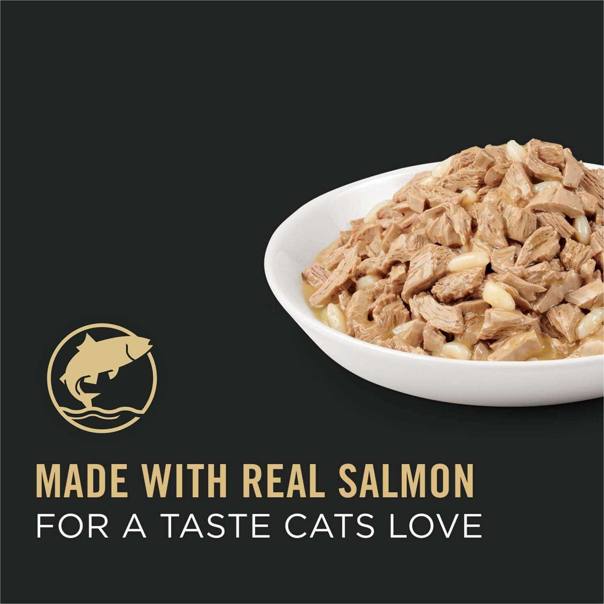 Adult Cat Food Salmon & Rice Entree in Sauce I55268