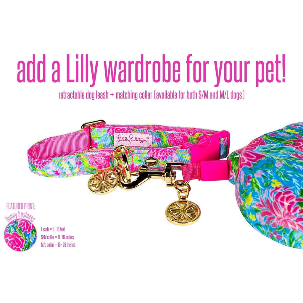 Dog Collar R50821