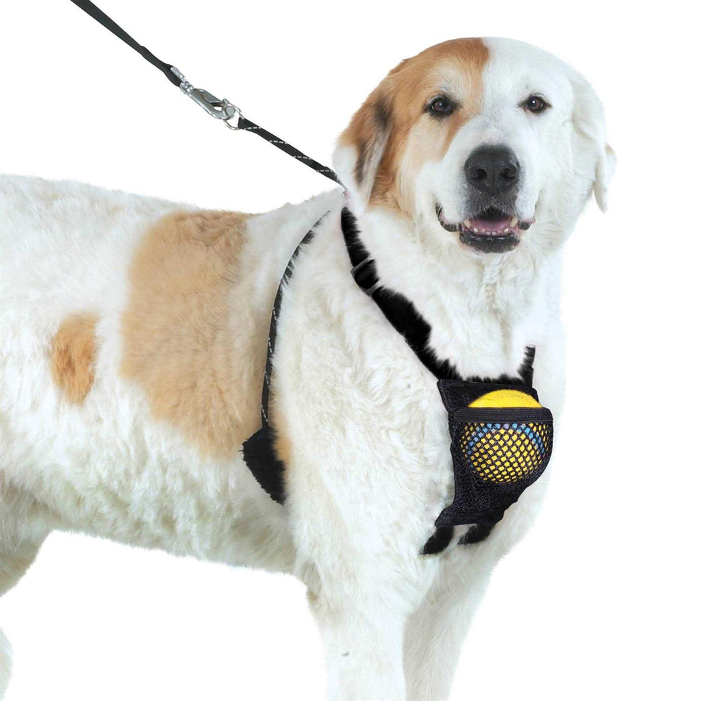 Dog Harness Z5542