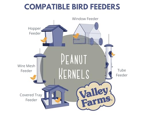 Whole Peanut Kernels Wild Bird Food 4 LB O8765
