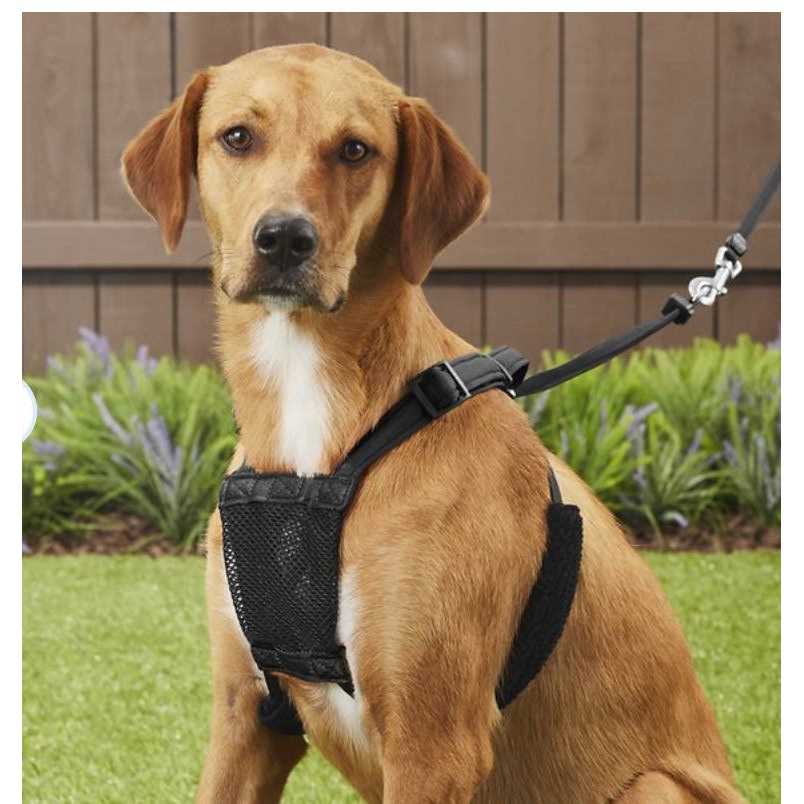 Dog Harness Z5542