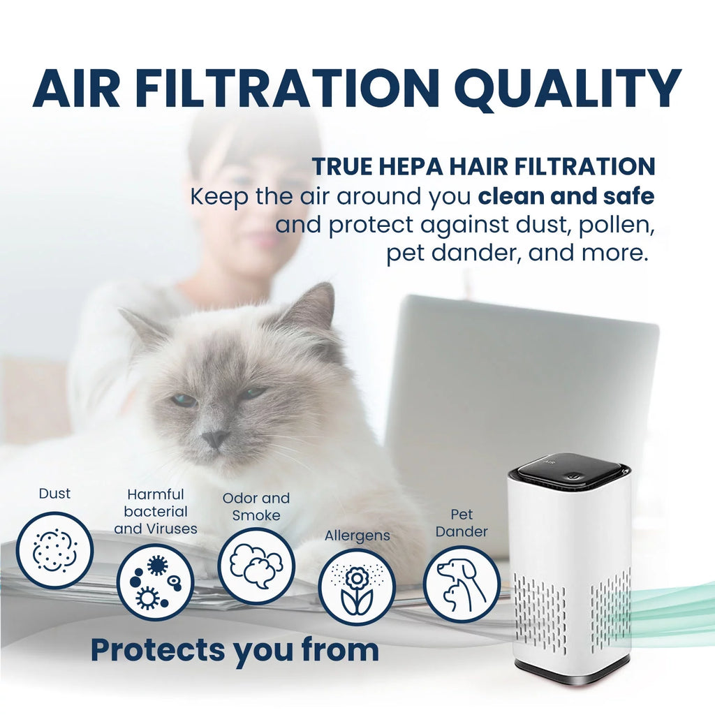 HEPA USB-C Powered Air Purifier R9281