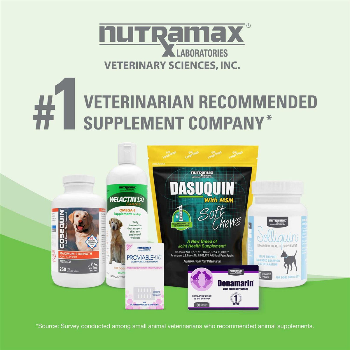 Dermaquin Skin Support Dogs 60 ct T64336