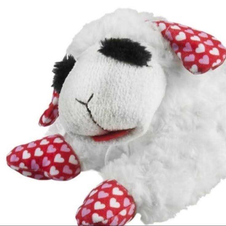 Valentine's Day Dog Toy M451