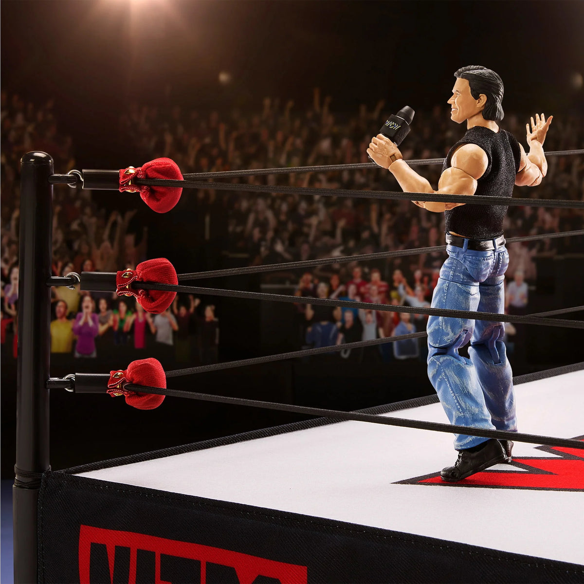Wrestling Ring W7066