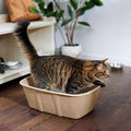 Disposable Cat Litter Box N8604