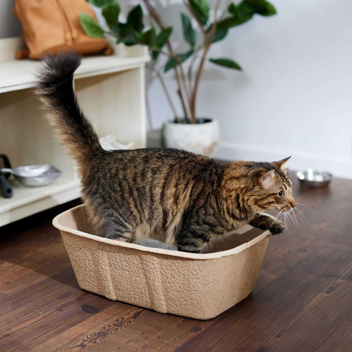 Disposable Cat Litter Box N8604