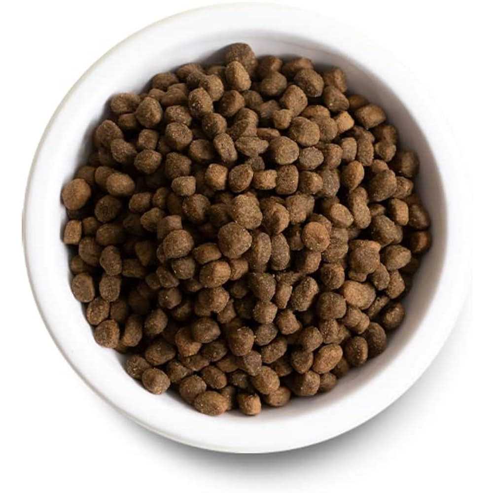 Ancient Grains Puppy Dry Dog Food U4554