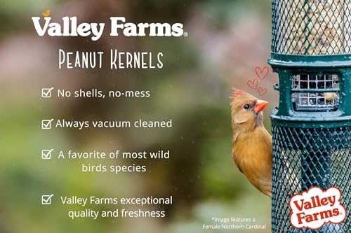 Whole Peanut Kernels Wild Bird Food 4 LB O8765