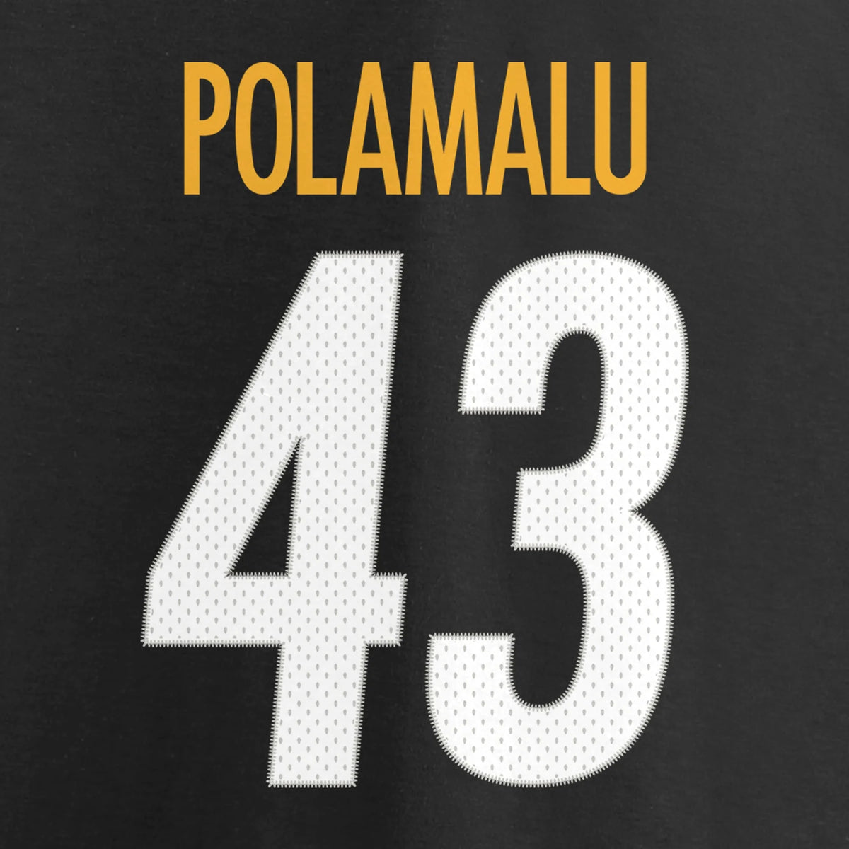 Black Pittsburgh Steelers Retired Player Football G141552