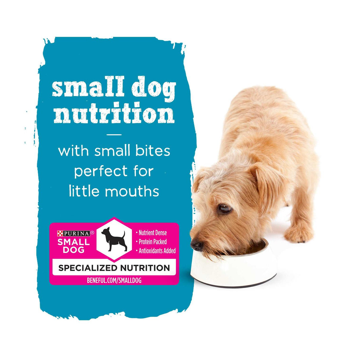 Small Breed Wet Dog Food Variety Pack G62053