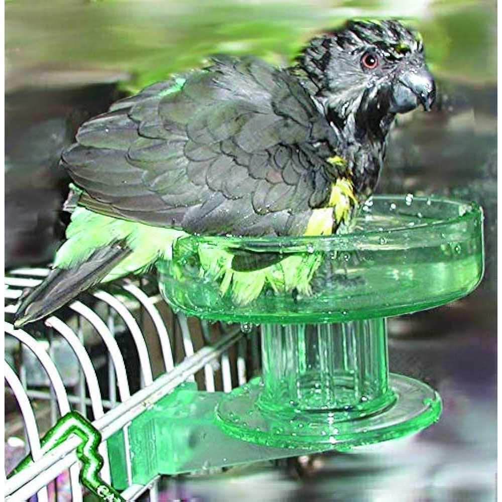 Bird Bath E796671