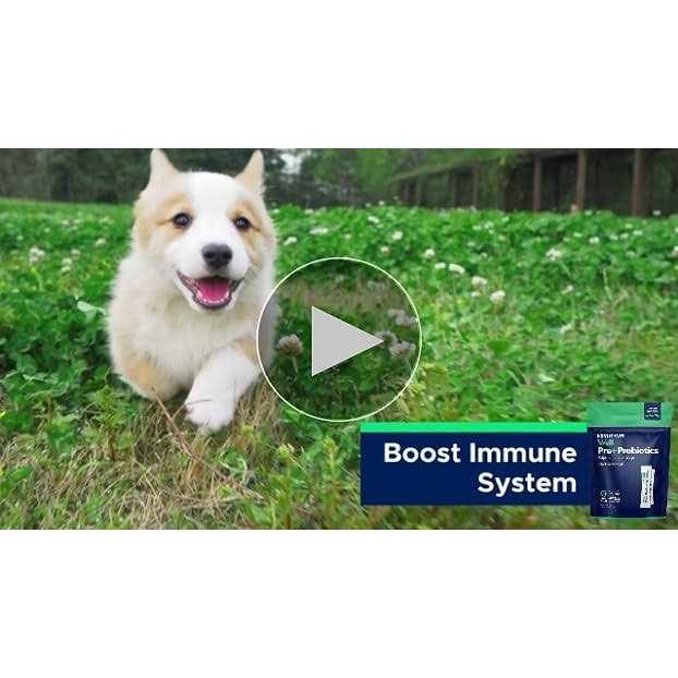 Probiotic Powder with Prebiotic for Dogs U3431