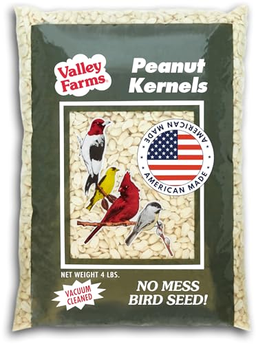 Whole Peanut Kernels Wild Bird Food 4 LB O8765