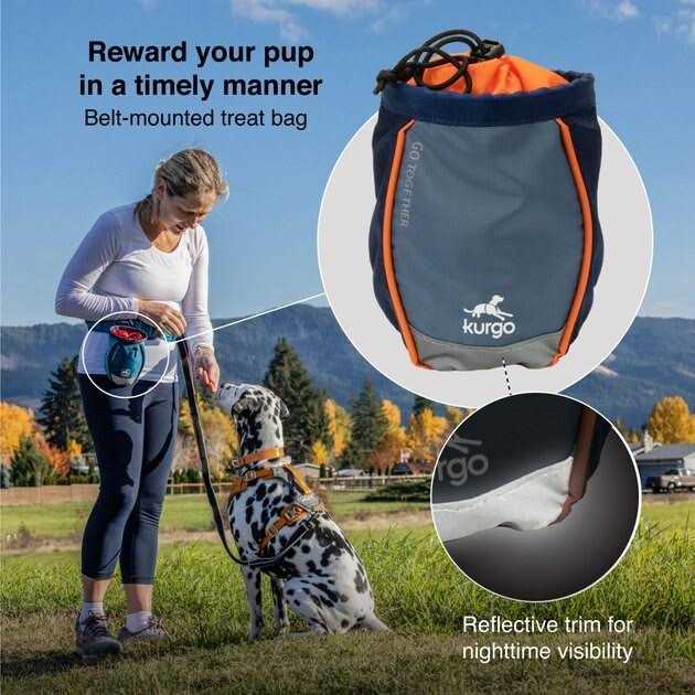 Dog Treat Bag C798