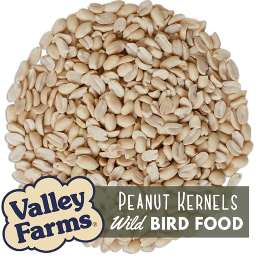 Whole Peanut Kernels Wild Bird Food 4 LB O8765