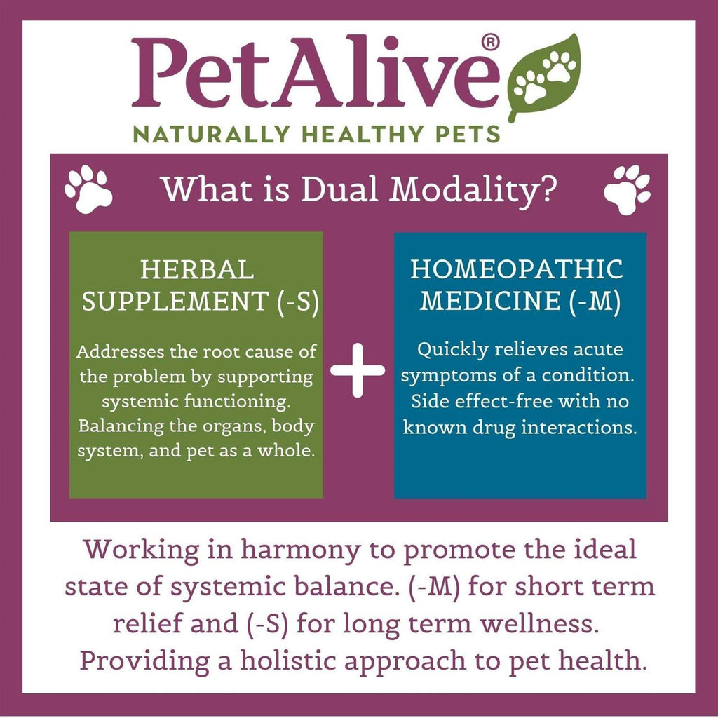 Kidney Support Pet Supplies H3353