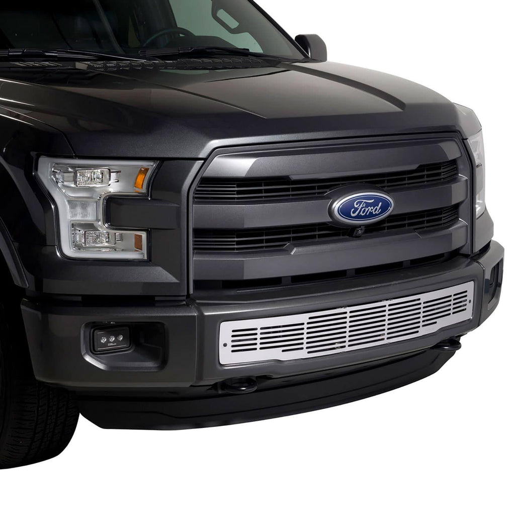 Bumper Grille Insert W5176