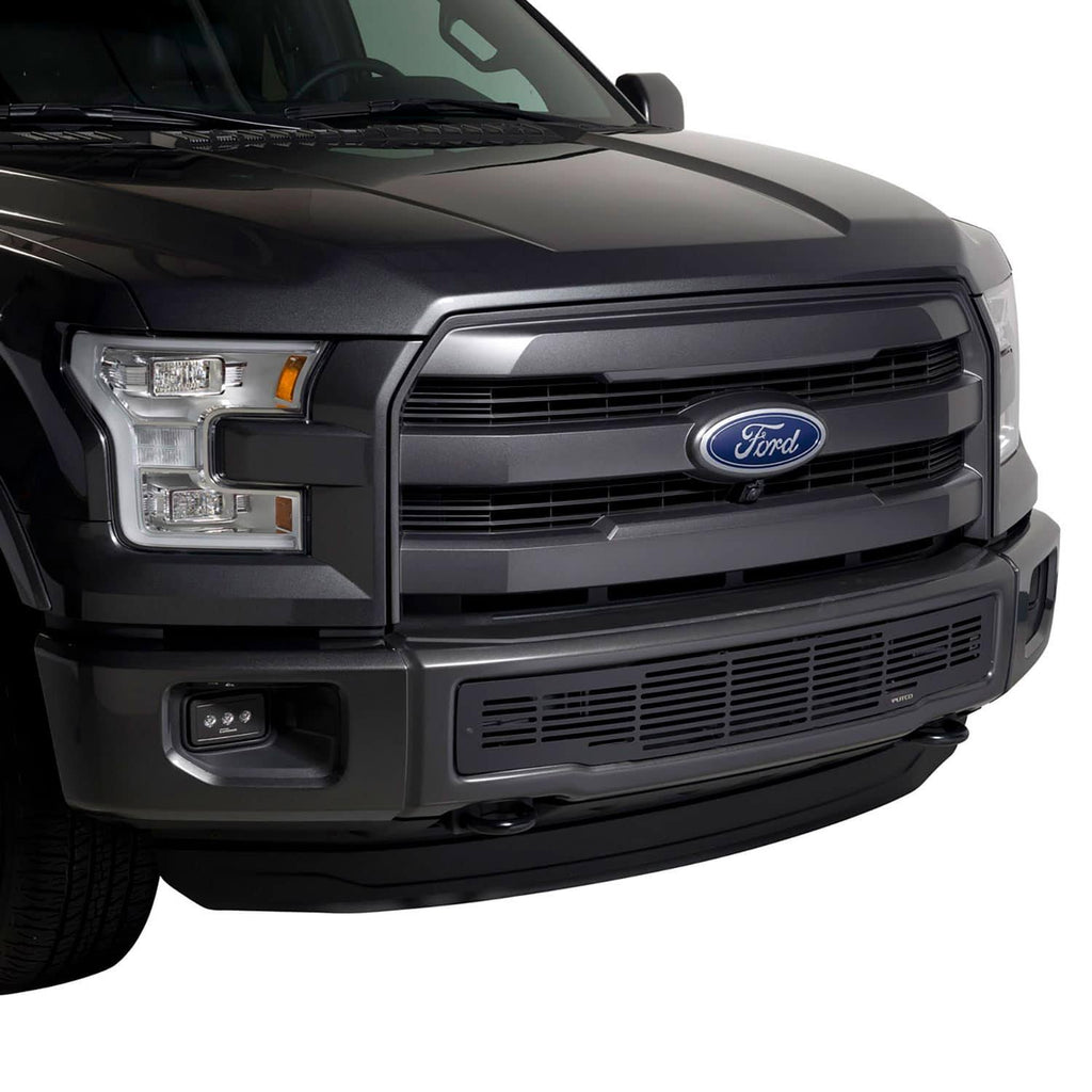 Bumper Grille Insert W5176