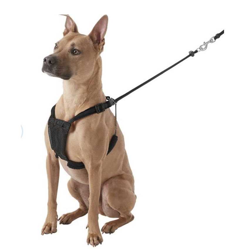 Dog Harness Z5542