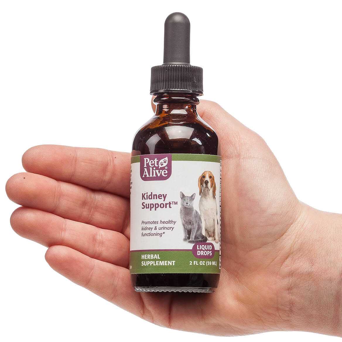 Kidney Support Pet Supplies H3353